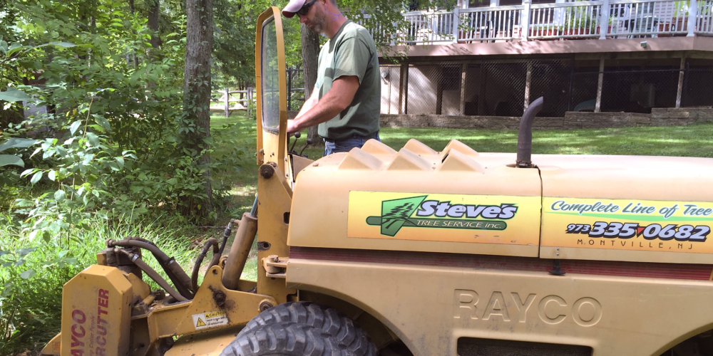 Stump Grinding